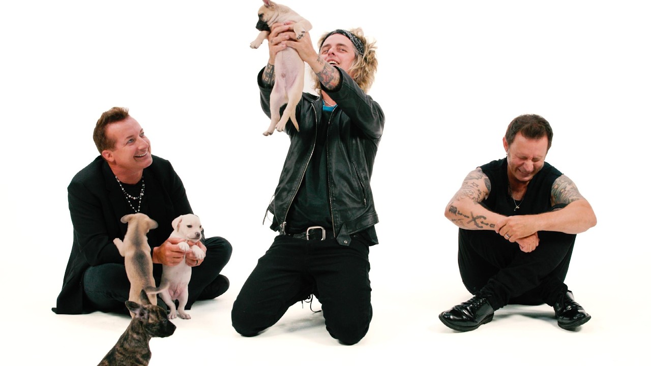Green Day: The Puppy Interview