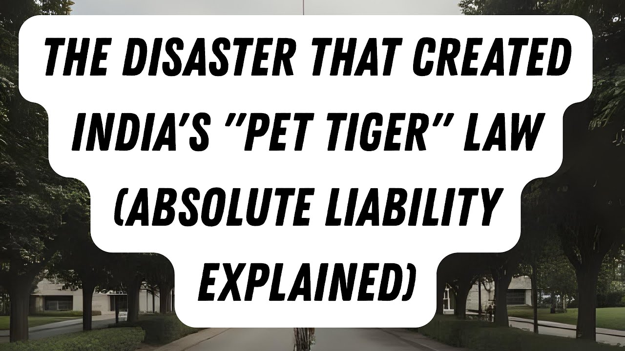 The Disaster That Created India's 