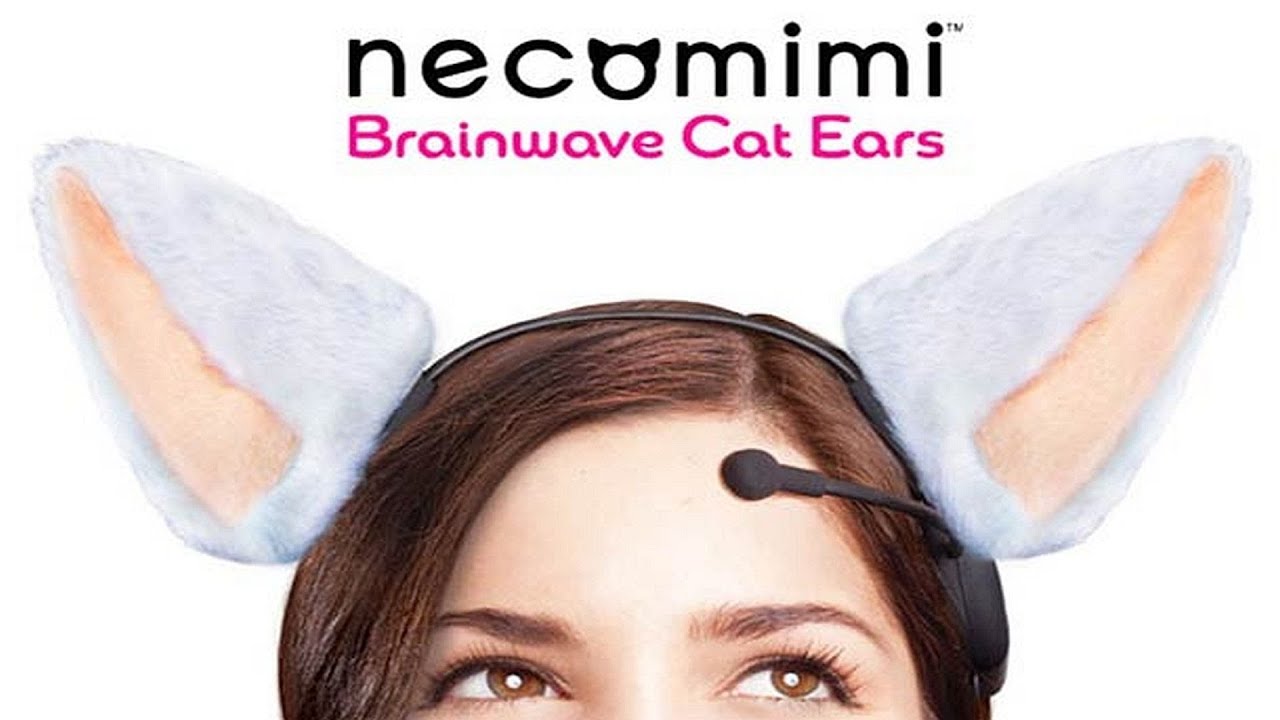 Kitty Ears You Control with Brainwaves! CES 2013