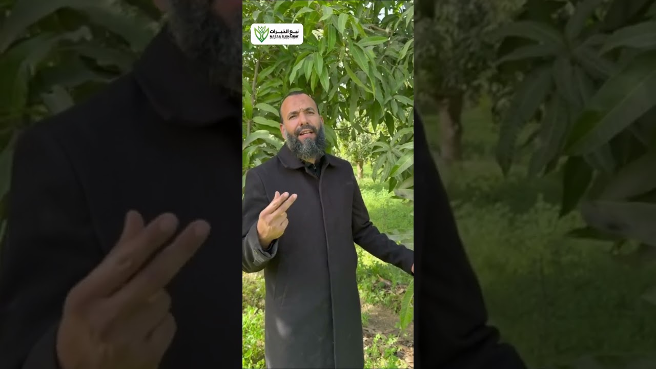من أهم الفيديوهات اللي ممكن تشوفها عن ازاي رشه ممكن تضاعف الإنتاج وتوصيات إزالة الشماريخ بتكلفة اقل