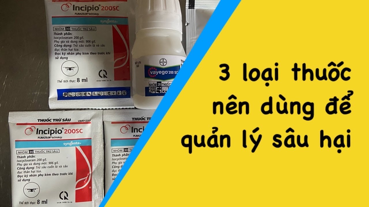 3 loại thuốc trừ sâu hiệu quả mà bạn nên biết