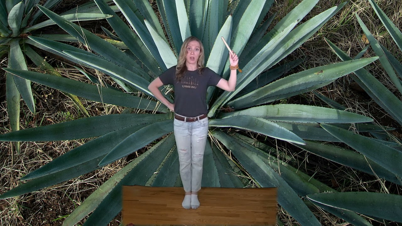 EASY Mexican Folk Dance for Kids | Los Machetes