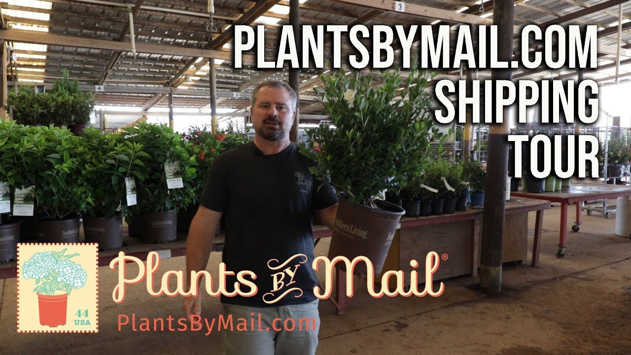 Plantsbymail.com Tour - Picking, Boxing, and Shipping Mail Order Plants