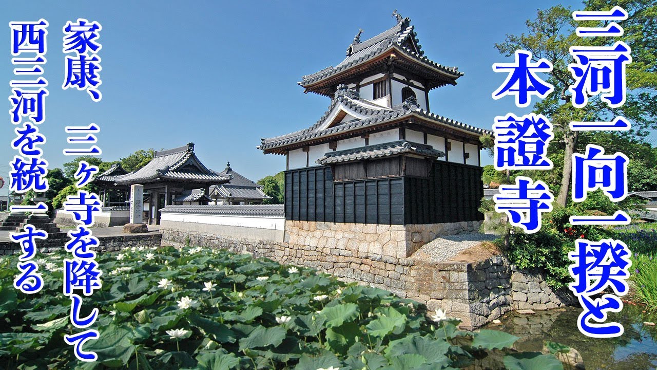 【三河一向一揆と本證寺】家康、三河三ヶ寺を降して西三河を統一する