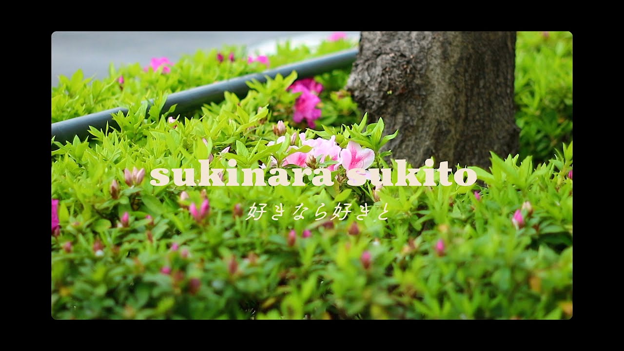 好きなら好きと - Taiyo Ky (Visualizer)  | Sukinara Sukito