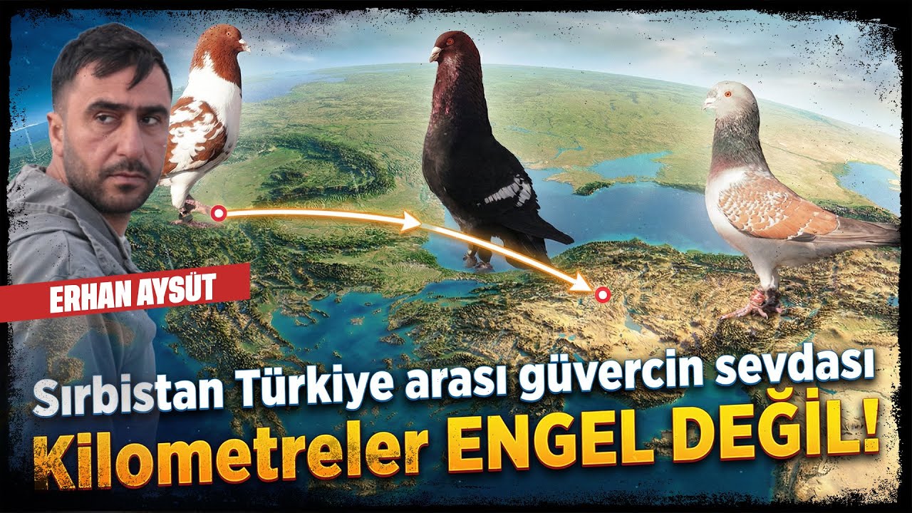 Sırbistan T&uuml;rkiye Arası G&uuml;vercin Sevdası - Kilometreler ENGEL DEĞİL! ERHAN AYS&Uuml;T