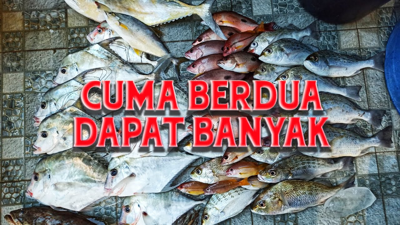 Ultralight Fishing - Mancing Dasar Pakai Tackle UL