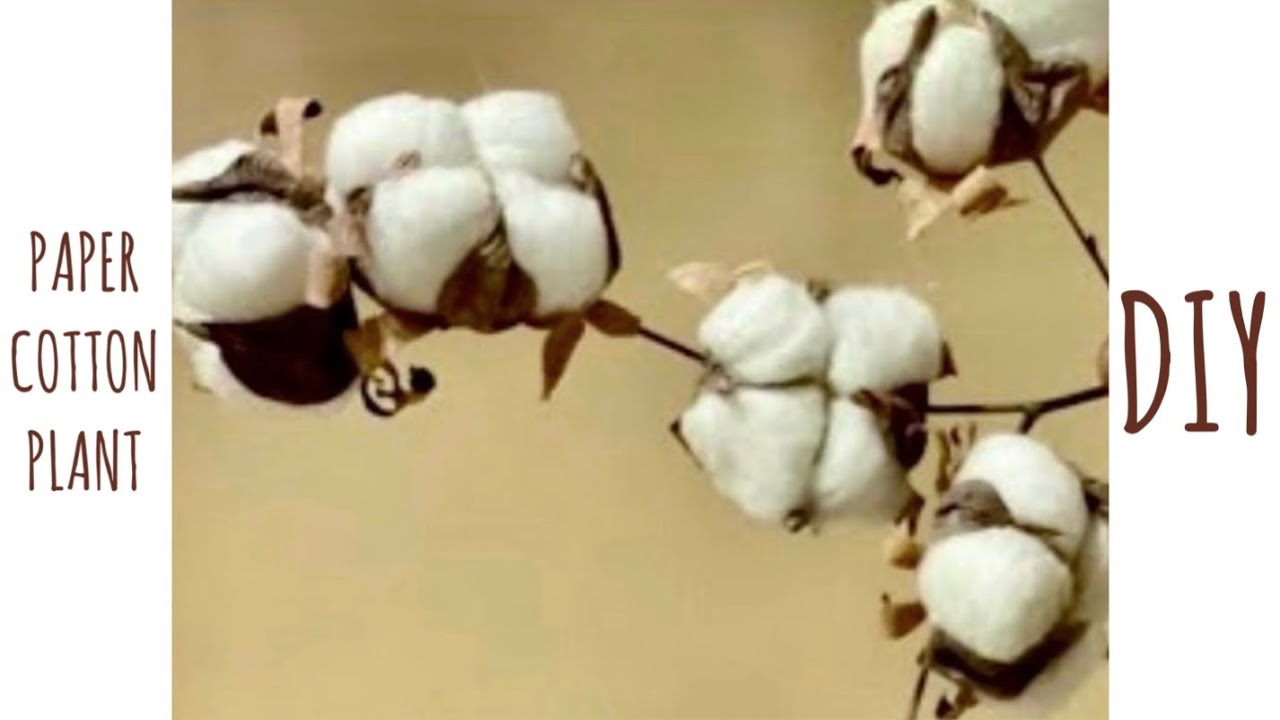 How to make a cotton plant | realistic | paper craft
