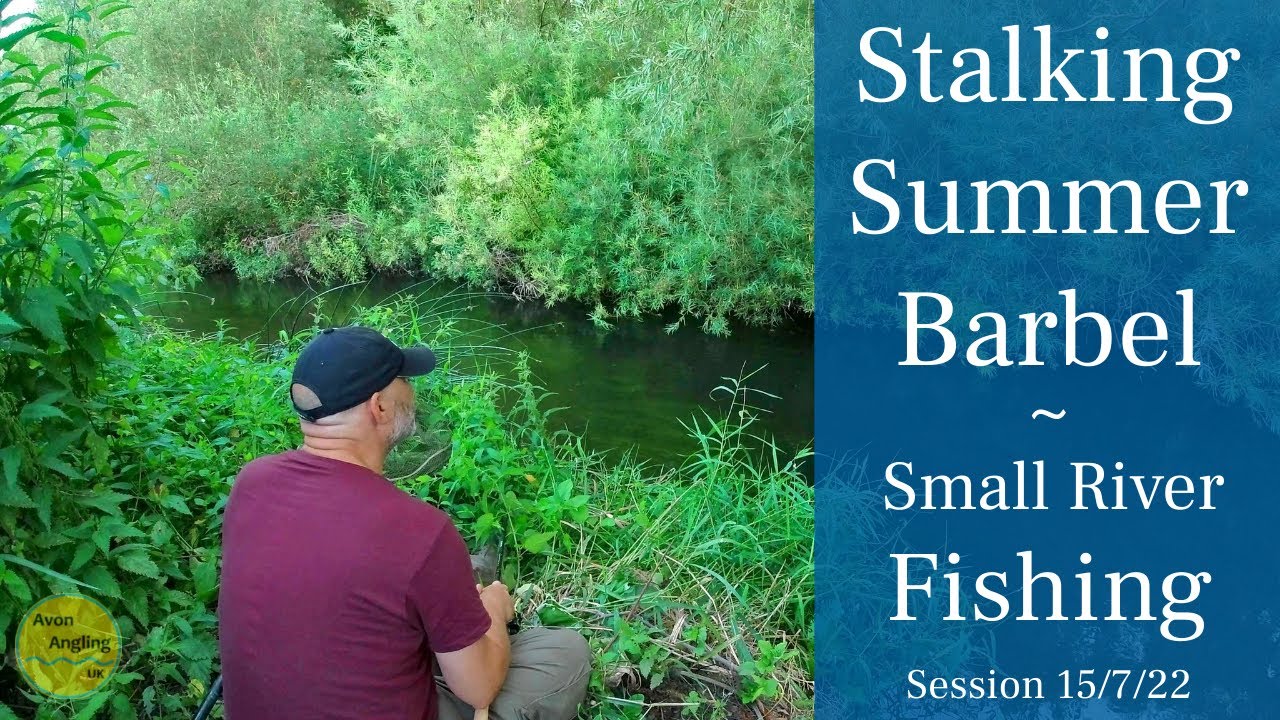 Stalking Barbel - Summer Small River Sight Fishing - So Exciting! - 15/7/22 (Video 334)
