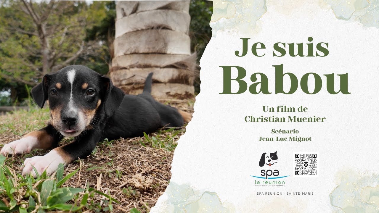 Je suis Babou - Court métrage