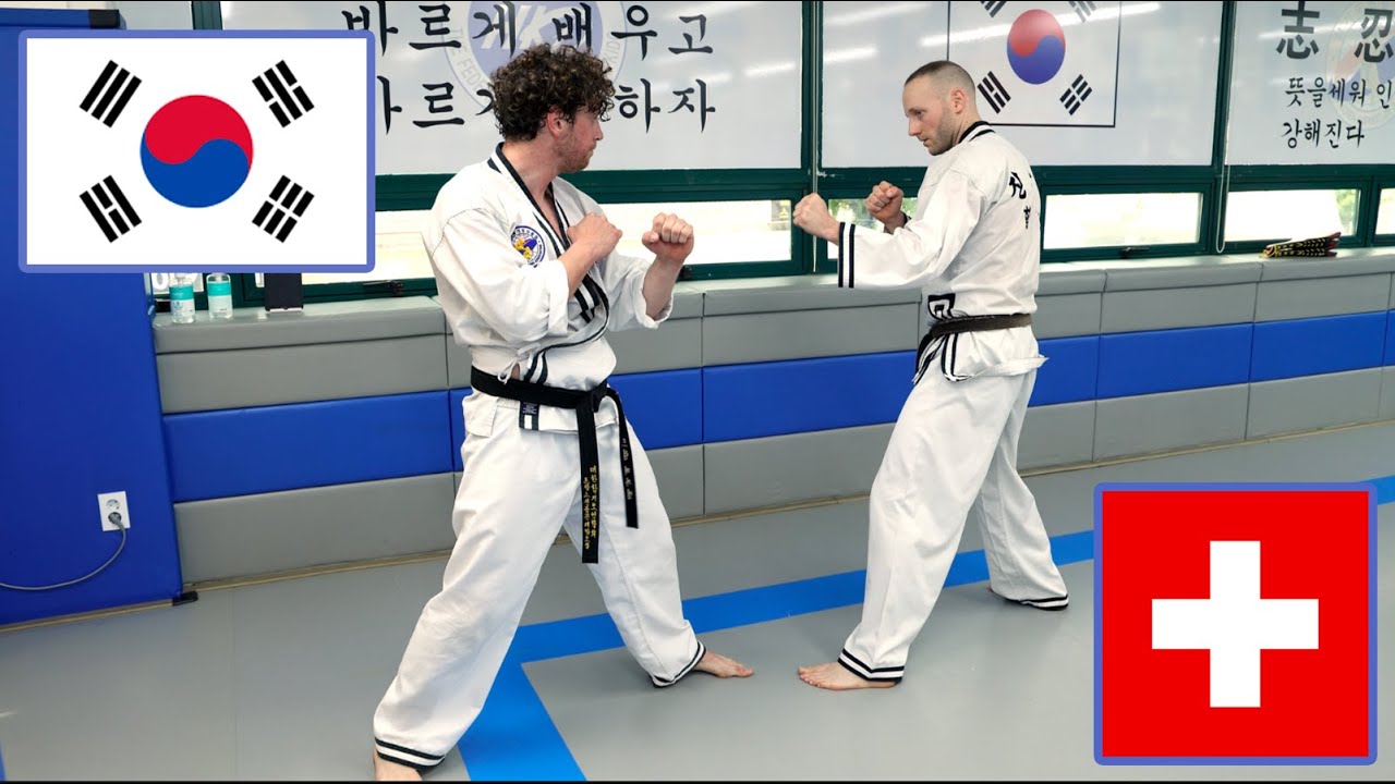 Le club de genève vient kicker à Seoul - Hapkido JJK