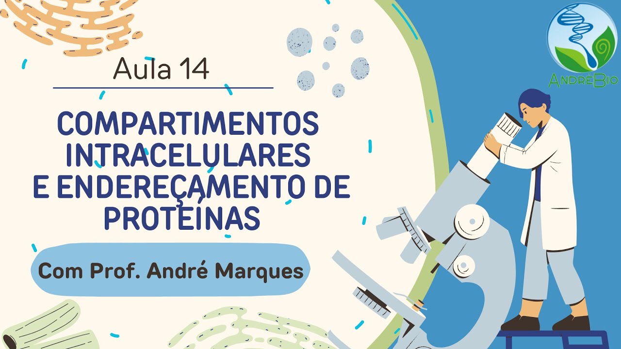 AULA 14: COMPARTIMENTOS E ENDEREÇAMENTO DE PROTEÍNAS. Transporte de Proteínas para a Mitocôndria.