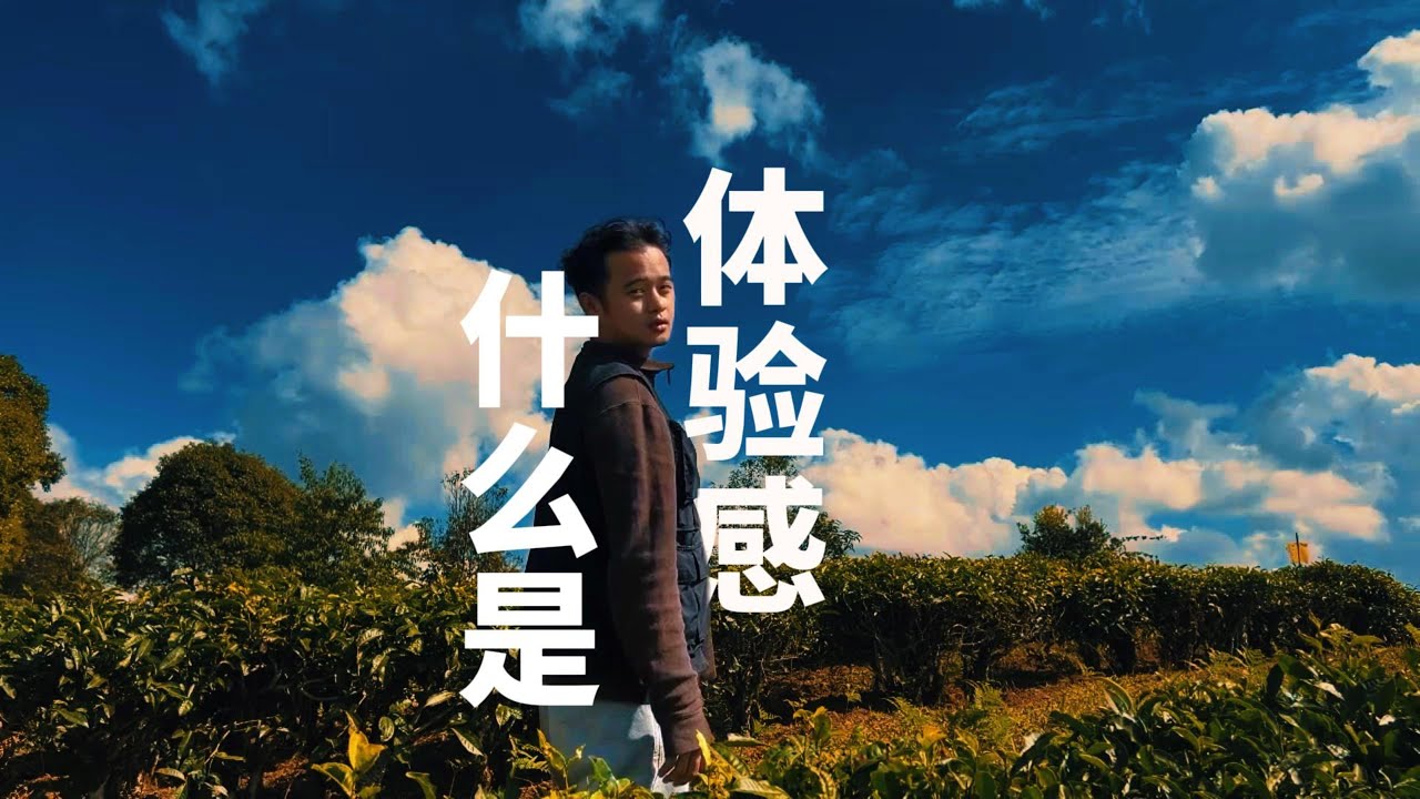 你的体验感是什么？【哈弗猛龙】