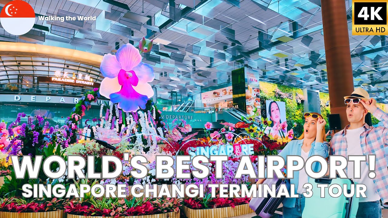 World's Best Airport! Singapore Changi Airport Terminal 3 FULL Walking Tour [4K]