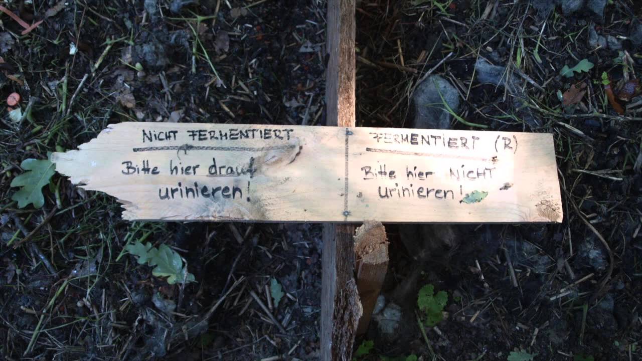 How to turn human waste into disease-free fertiliser