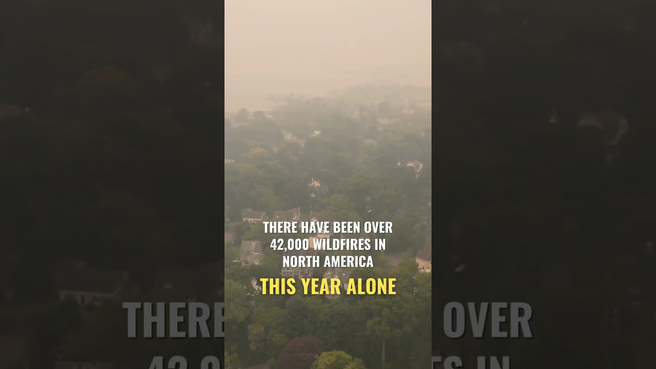 2025 Wildfire Season Might be the WORST EVER?! #boostoxygen #wildfire #naturaldisaster