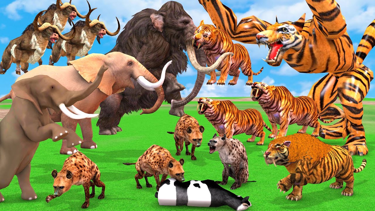 10 Zombie Tigers vs 3 Tiger Wolf Attack Gorilla Fight Baby Cow Saved by Woolly Mammoth Elephant