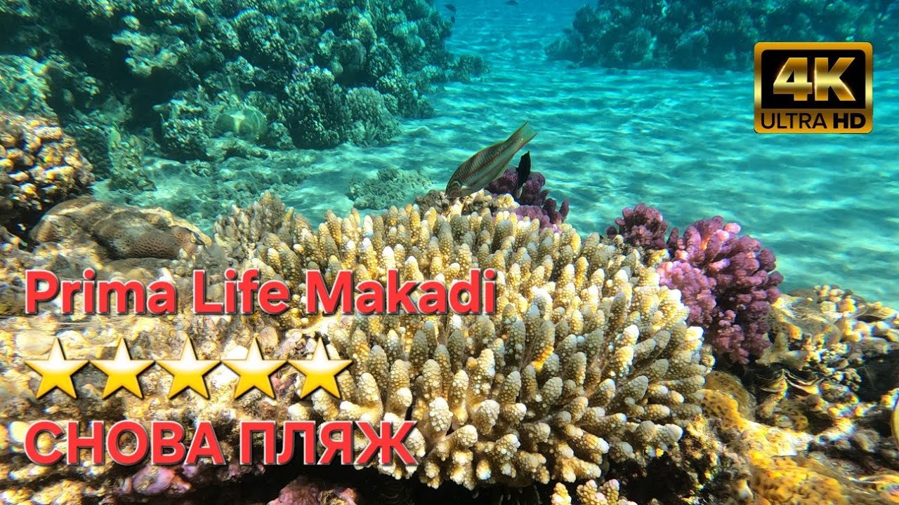 Prima Life Makadi ⭐⭐⭐⭐⭐ ХУРГАДА, СНОВА ПЛЯЖ