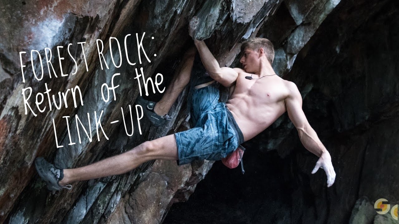 Forest Rock: Return of the Link-up