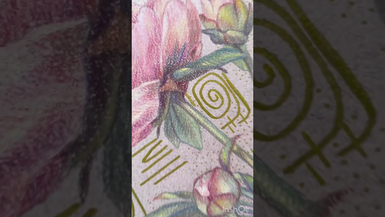 #artwork #peony #peonyart #flowers #floralart #flowerart #cutepaintings #smallpainting #artdaily
