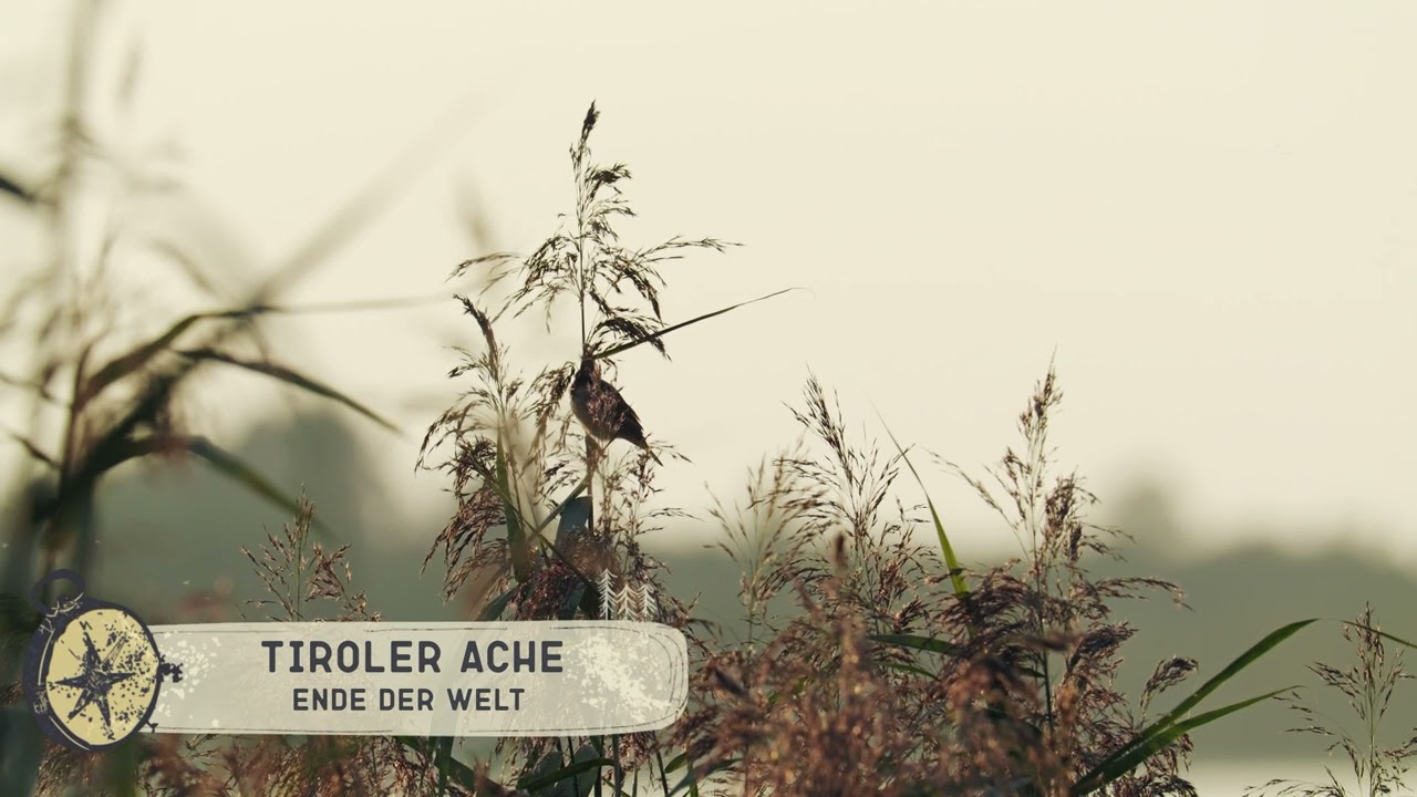 Lumix GH7 Wildlife Slow Motion Footage 🎥 German 4k 120p Kanal Intro Low-Fi Chillout