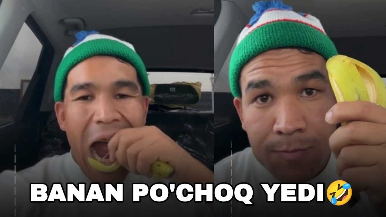 Uzbek tayson banani po'chog'ini yedi! Tayson janglari jonli efir tarzida ko'rasiz!