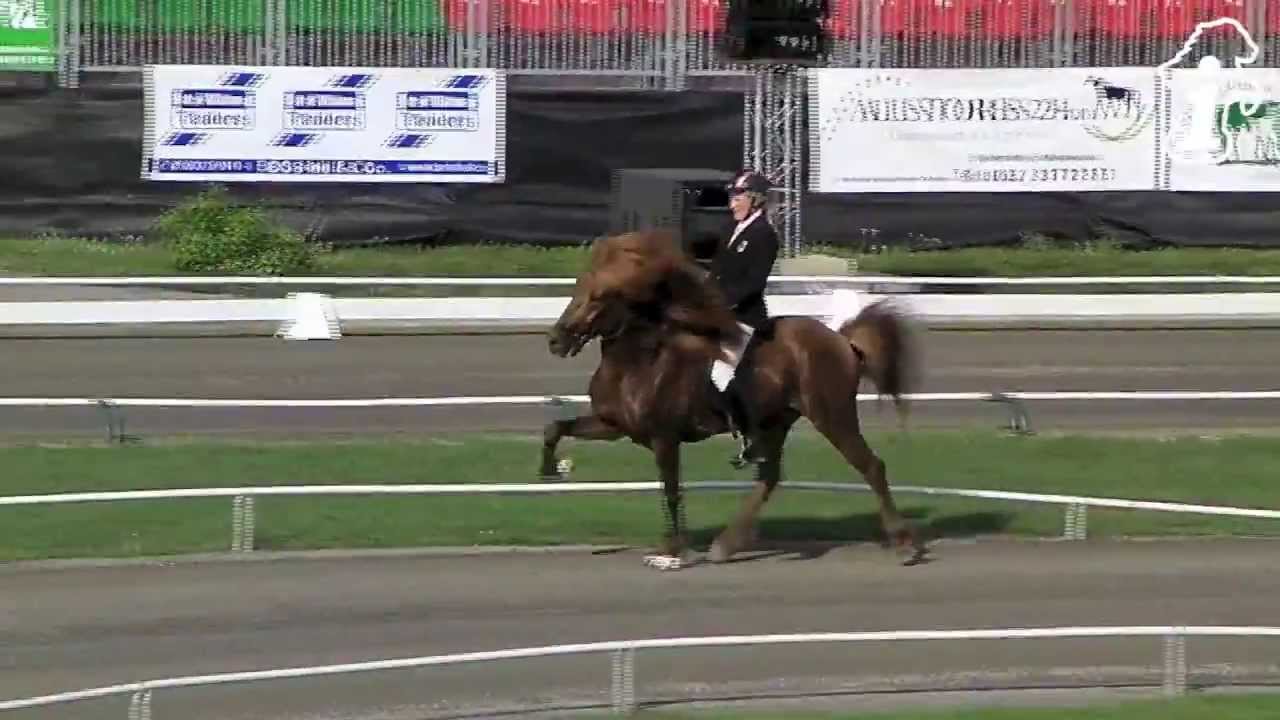WM 2013 - V1 - Steffi / Jarl - www.isibless.de