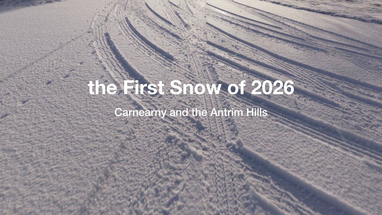 2026 first snow of the winter tardree carnearny forest   4K