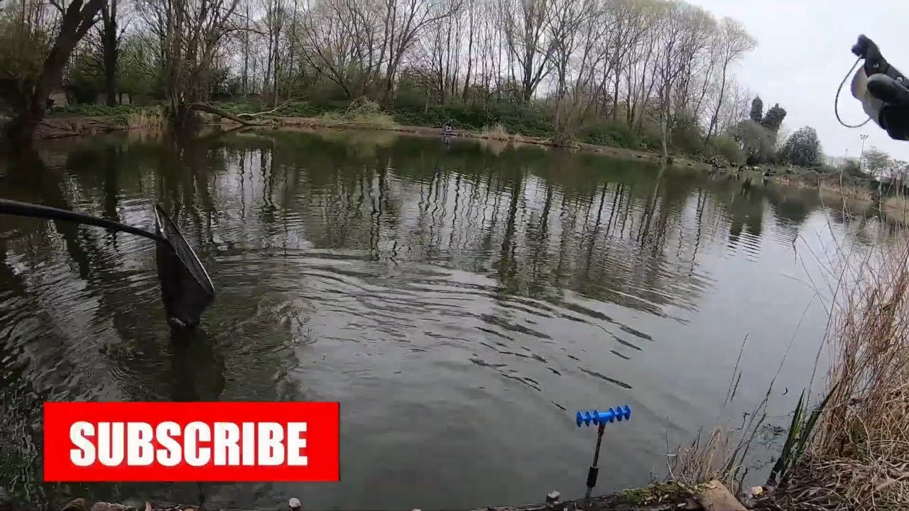 Tench on casters,Willows Pond Hull. (subtitles added)