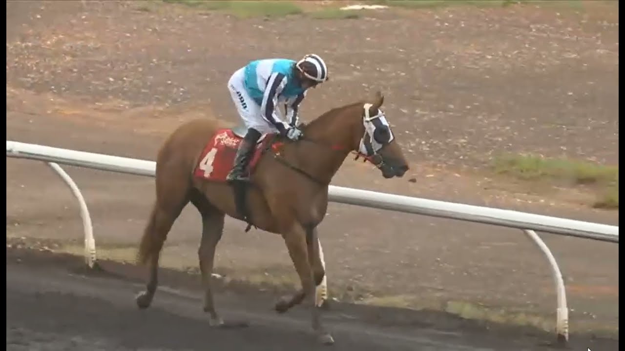 RACE 6 - DARWIN AUSTRALIA 31 JAN 2026