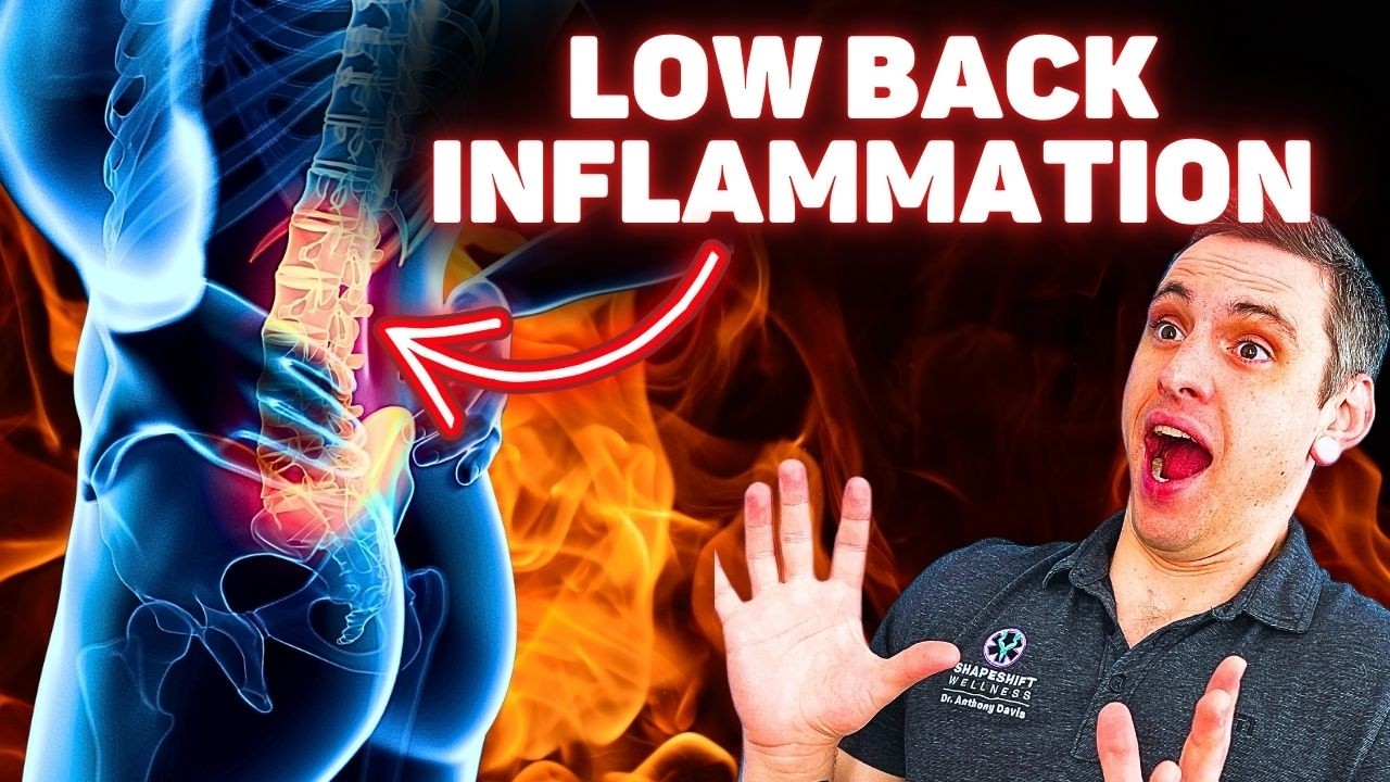 The Real ROOT CAUSE of Chronic Back Pain (pt.4) - Low Back Inflammation (Central Sensitization)