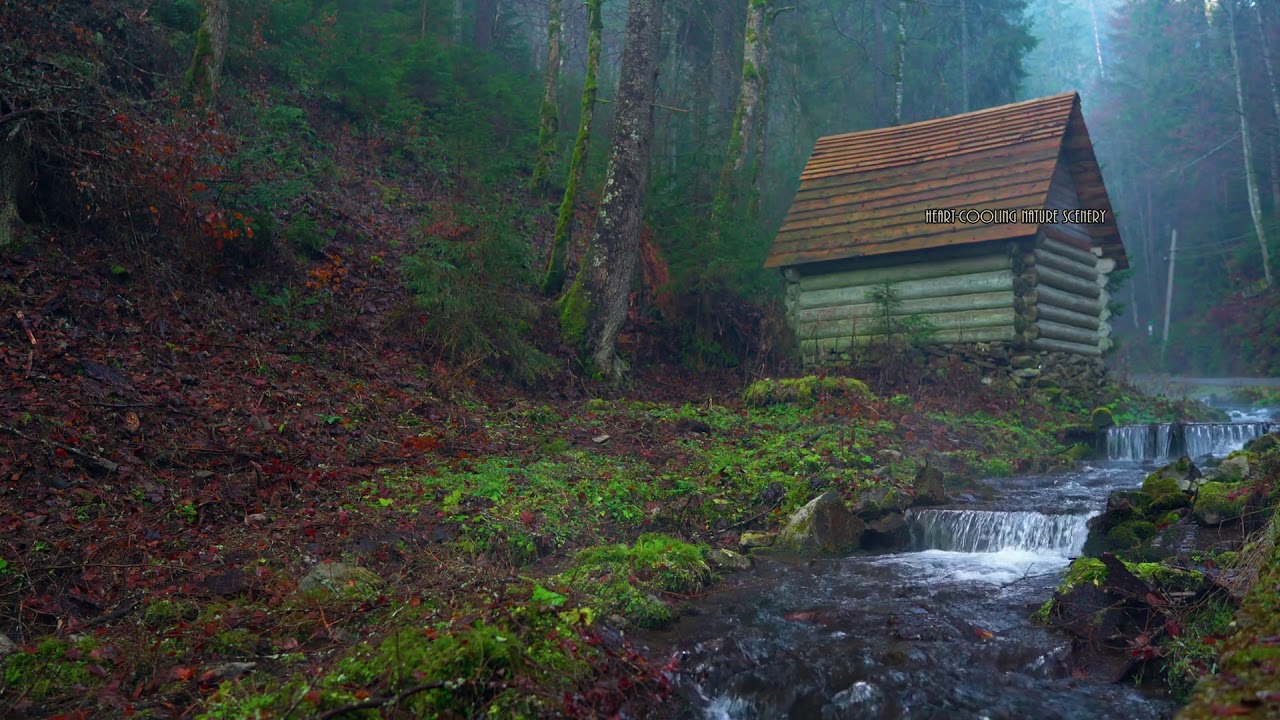 1hr foggy fantasy water stream relaxation- Mind Calming Full Relaxation💦