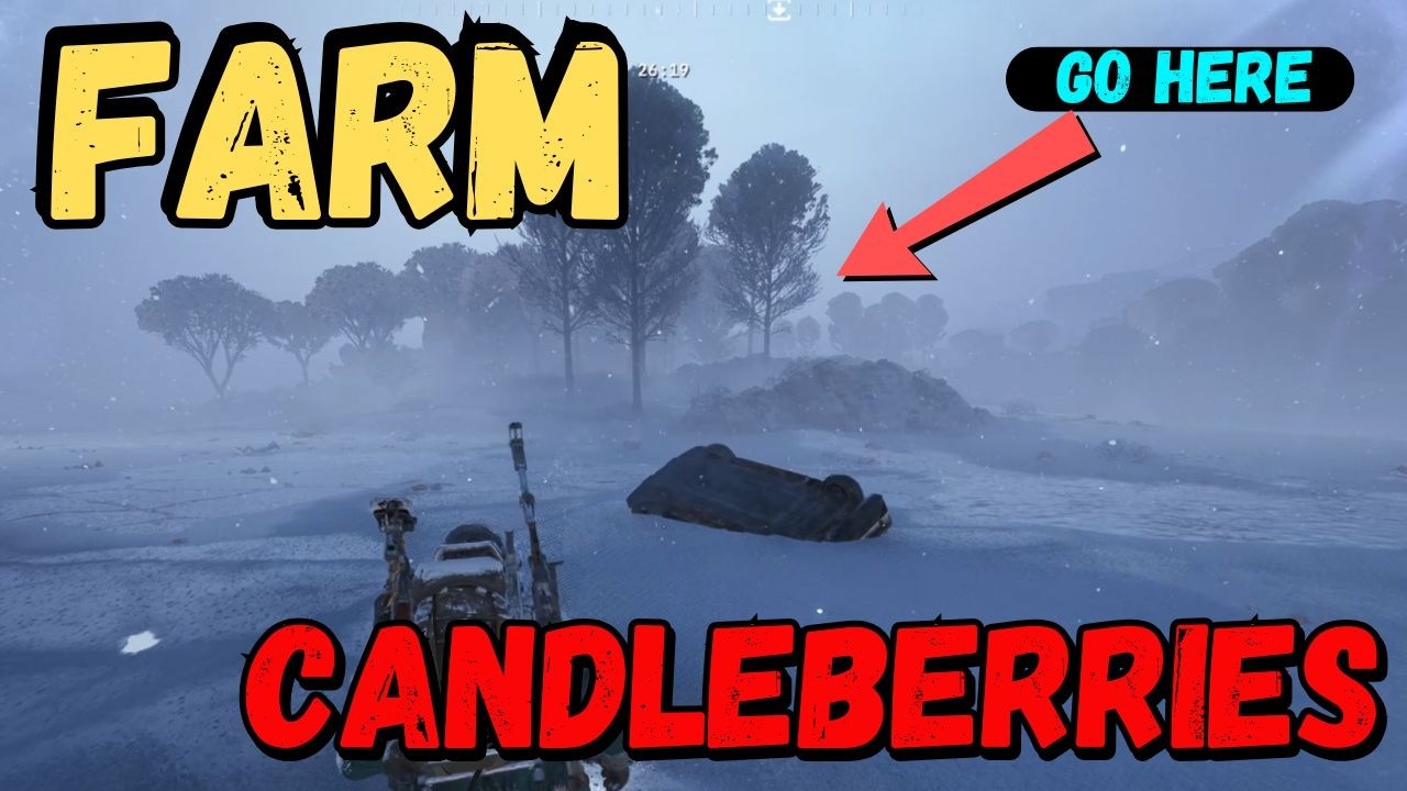 Arc Raiders: Как добывать ягоды Candleberries