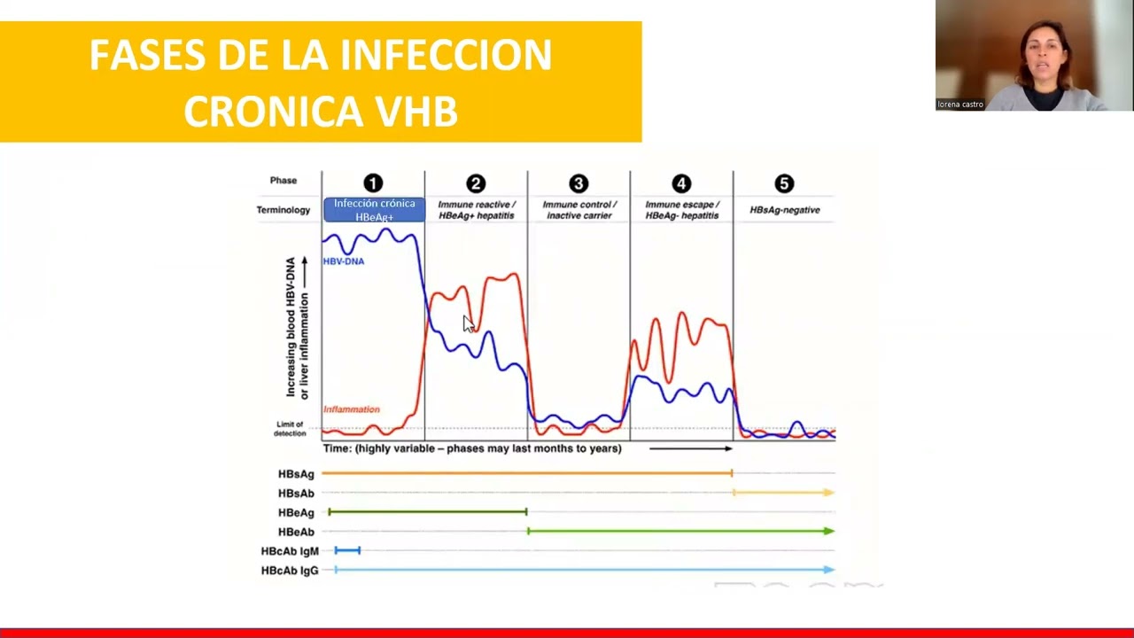 Manejo Hepatitis B y C Dra Castro