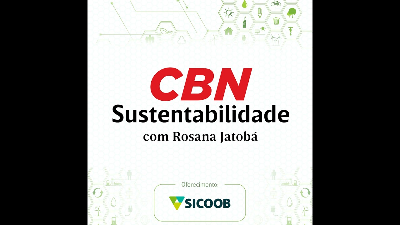 Governo prepara primeiro grande leilão para contratar baterias gigantes de armazenamento de energ...