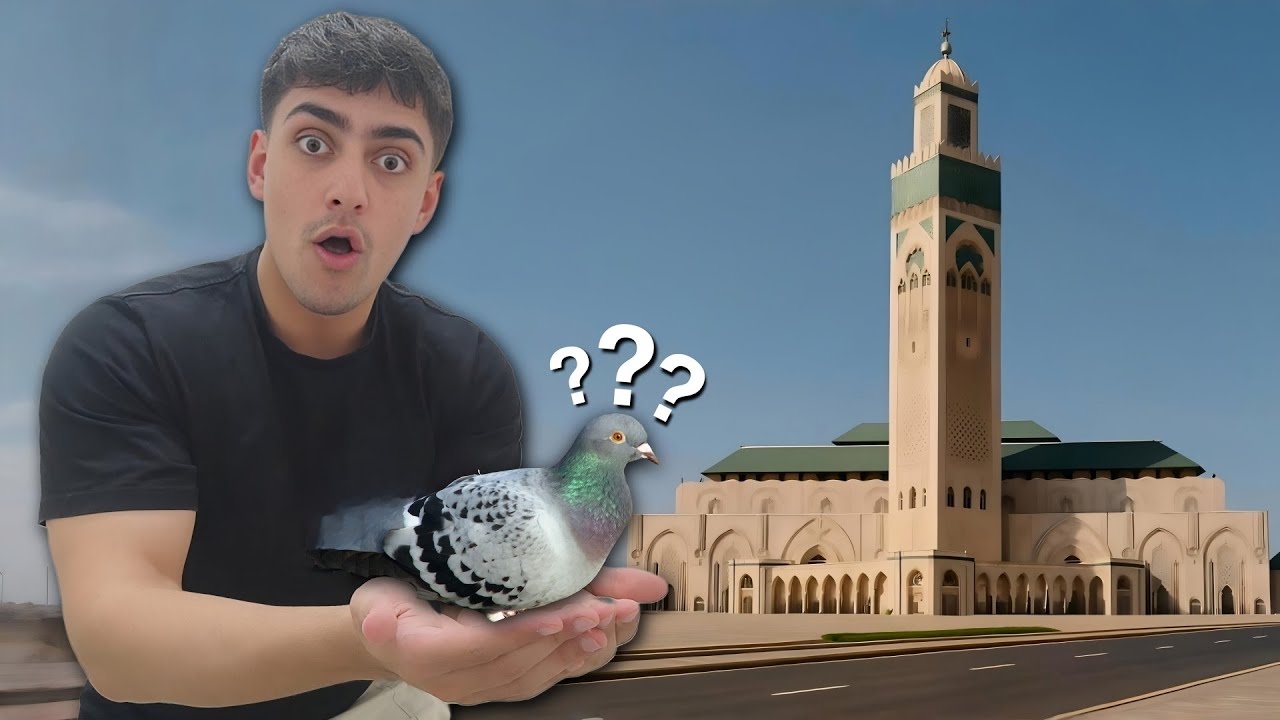 CASABLANCA ES UN CAOS