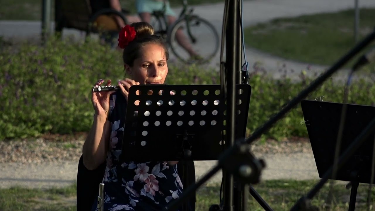 Stars And Stripes Forever – John Philip Sousa, Miejska Orkiestra Dęta „Akord” Sulejówek