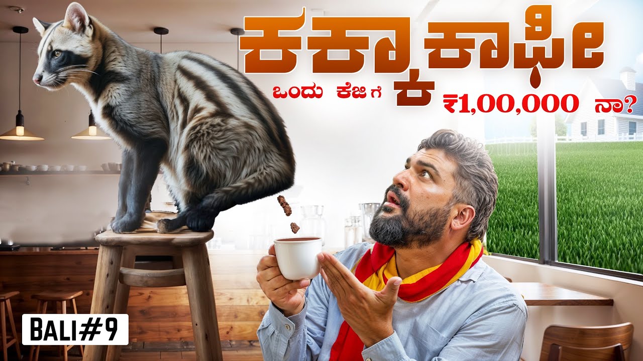 I MET THE CAT that makes d Worlds most expensive coffee | Global Kannadiga
