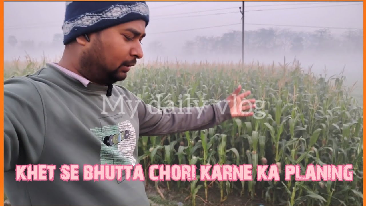 Khet Se Bhutta Chori Karne Ka Planing || My Daily Vlog