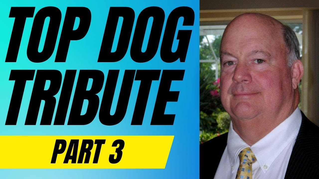 Top Dog Tribute - Part 3 | Episodes 76-100