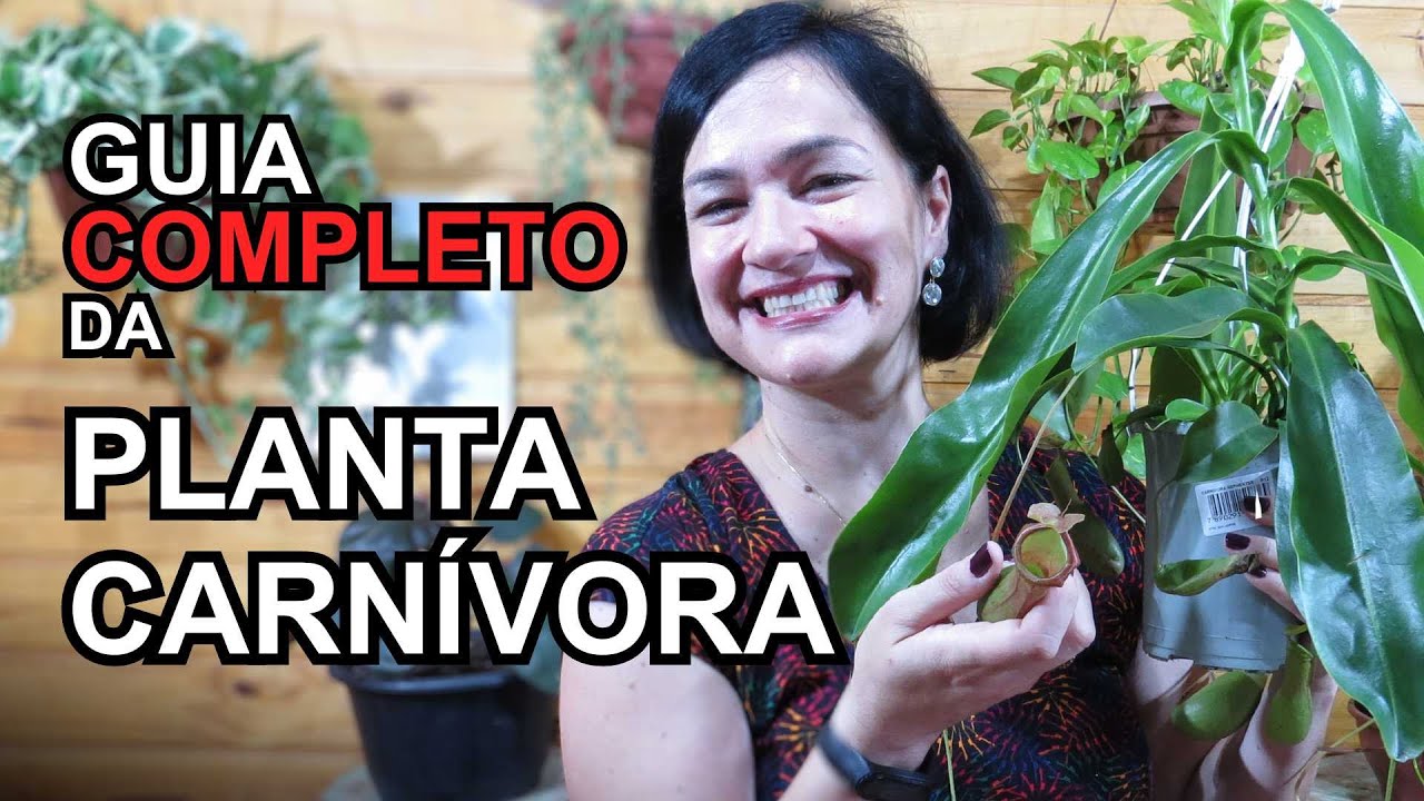 GUIA COMPLETO da Nepenthes - A Planta Carnívora!
