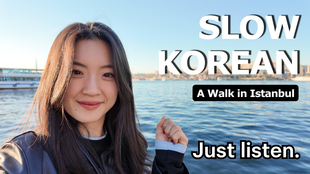 If You&rsquo;re a BEGINNER, WATCH THIS! | Comprehensible Korean Input &ndash; A Walk in Istanbul