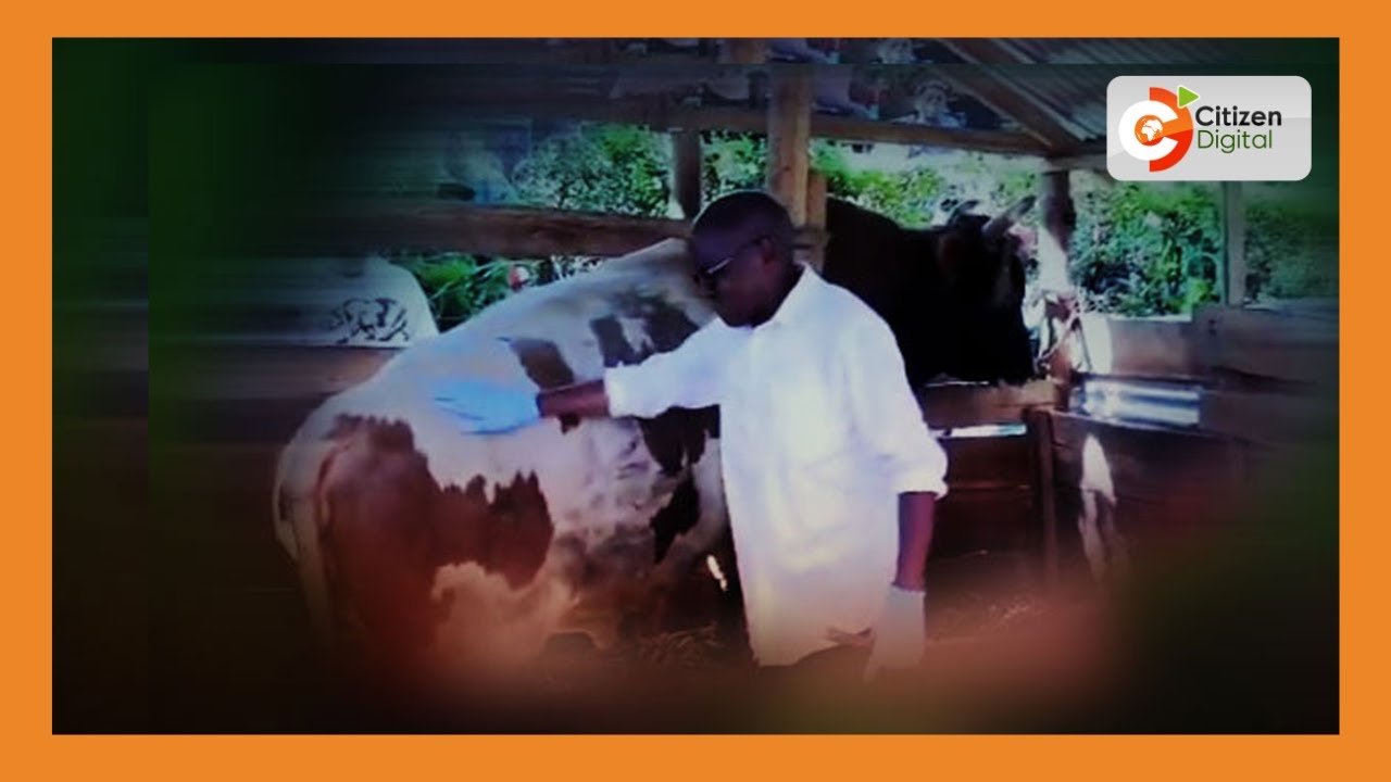 Homicide detectives take over Khalwale worker death probe