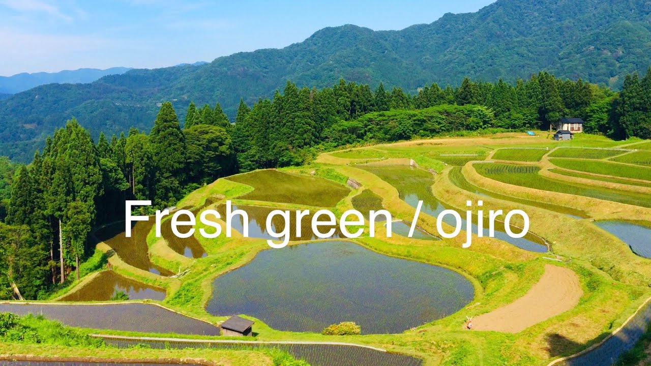 美しい田舎の風景 / 新緑の香美町小代（おじろ）