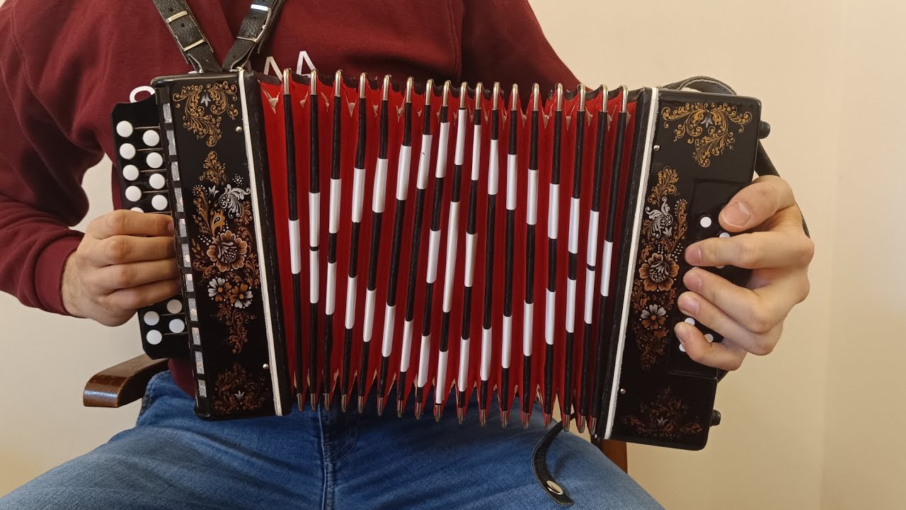 Ievan Polkka - Accordion Performance