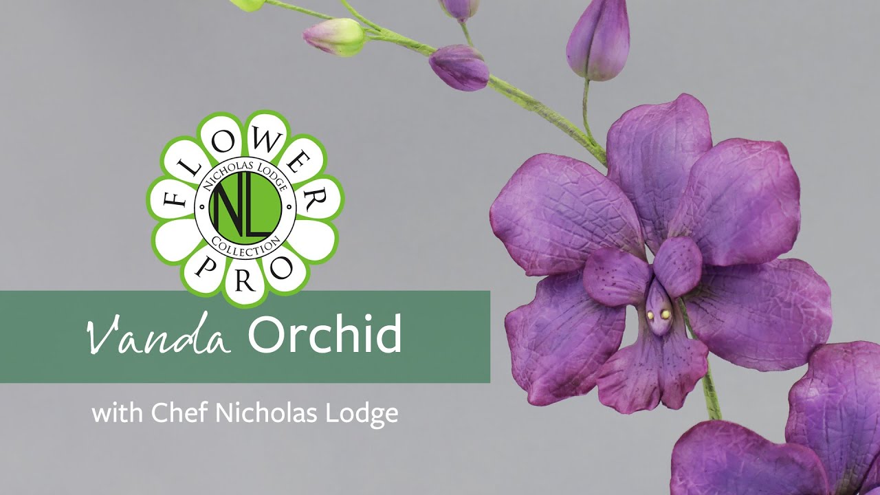 Vanda Orchid | Make Flower Pro Ultimate Orchids For Cakes & Crafts Part 4