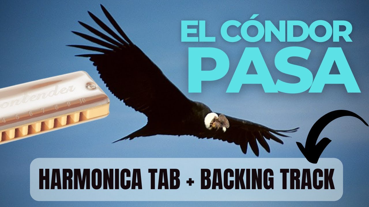 🦅 EL CONDOR PASA | TABLATURA PARA ARMÓNICA + BACKING TRACK