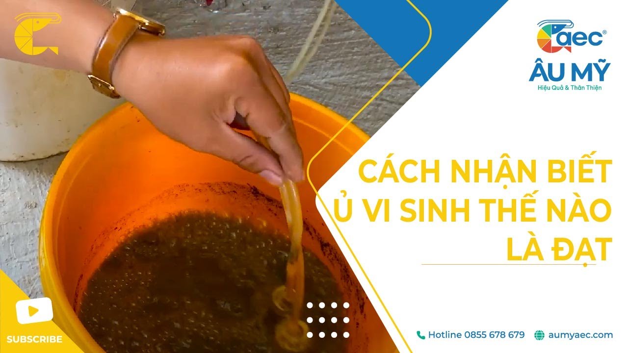 C&aacute;ch trộn thuốc v&agrave;o thức ăn số 0 | Thuốc thủy sản Au My AEC