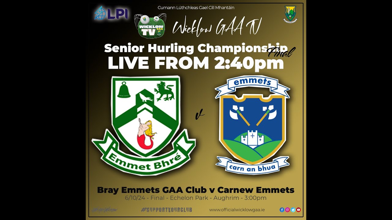 SHC Final - Bray Emmets v Carnew Emmets