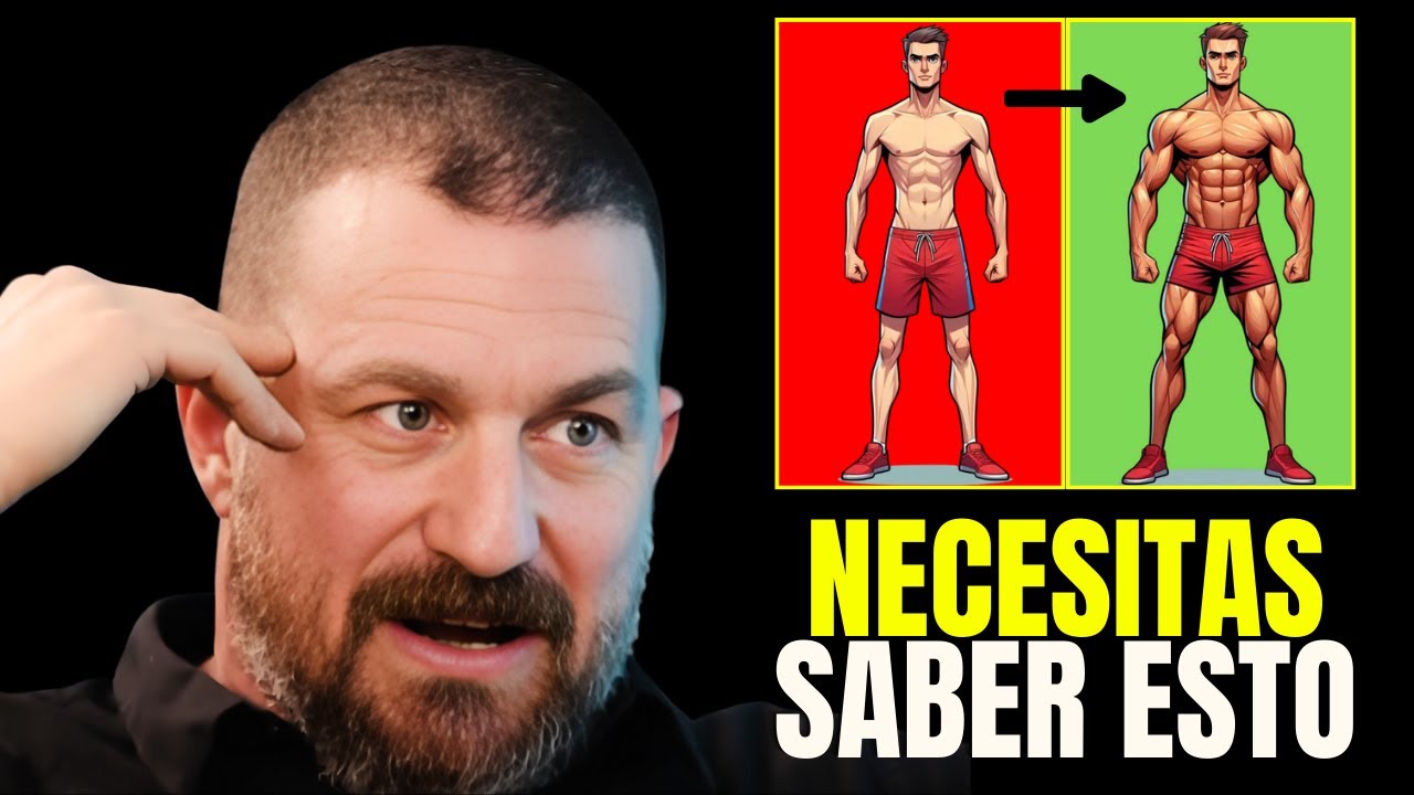 La MEJOR DIETA para Ganar MASA MUSCULAR| Dr Andrew Huberman.